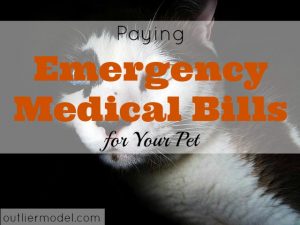 pet medical bill, emergency pet bill, pet expenses, taking care of your pet