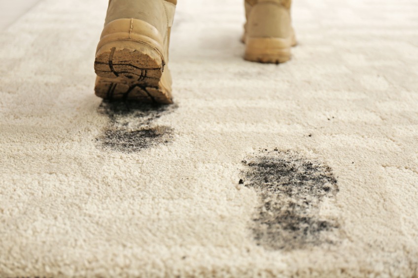 clean carpet without a machine