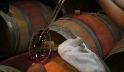 wine tasting, wine course, personal finance blogs, personal finance articles, financial blog, financial articles