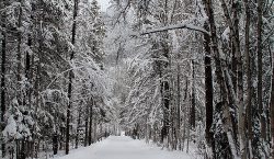 winter, staying indoors, blog reads, Nov 10 - 16,weekend ski getaway, ski trip, ski resort